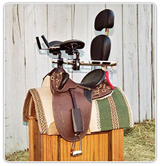 saddle2