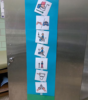 toilet initiative visual sequence