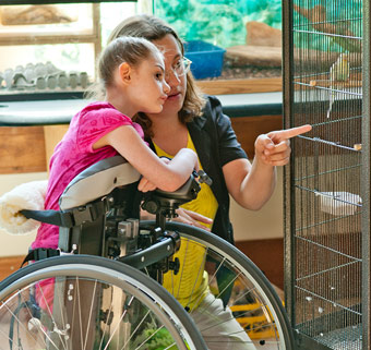 A little girl standing in a Rifton Mobile Stander looking at a pet bird in a cage
