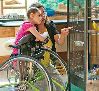 A girl stands in a Rifton Mobile Stander and looks at a bird in a cage with her caretaker.