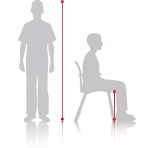 Compass Chair sizing