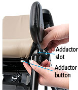 adductors