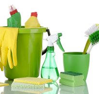Bucket, detergents, disinfectant, gloves and scrub brushes for cleaning
